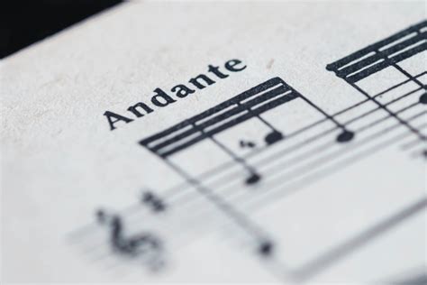 andante meaning music: The Symphony of Words and Music